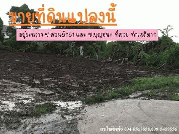 ขายที่ดินเปล่า เนื้อที่ 122 ตรว. อยู่ระหว่าง ซ.สวนผัก51 และ ซ.บุญชนะ ที่สวย ทำเลดีมาก